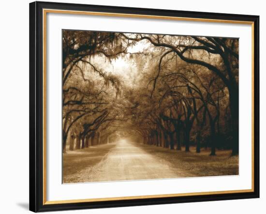 Savannah Oaks I-Alan Hausenflock-Framed Photographic Print