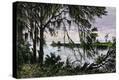 Stretched Canvas Print