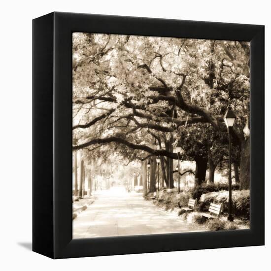 Savannah Sepia Sq I-Alan Hausenflock-Framed Premier Image Canvas