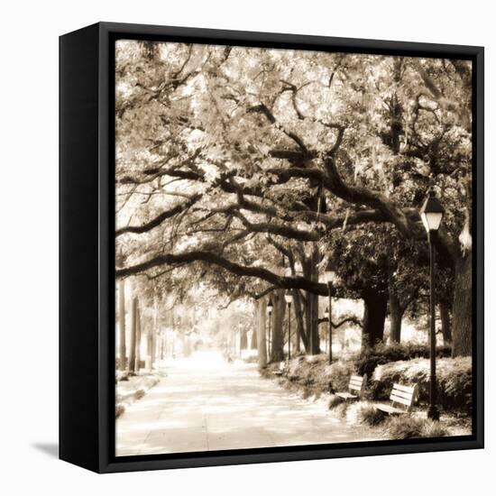 Savannah Sepia Sq I-Alan Hausenflock-Framed Premier Image Canvas