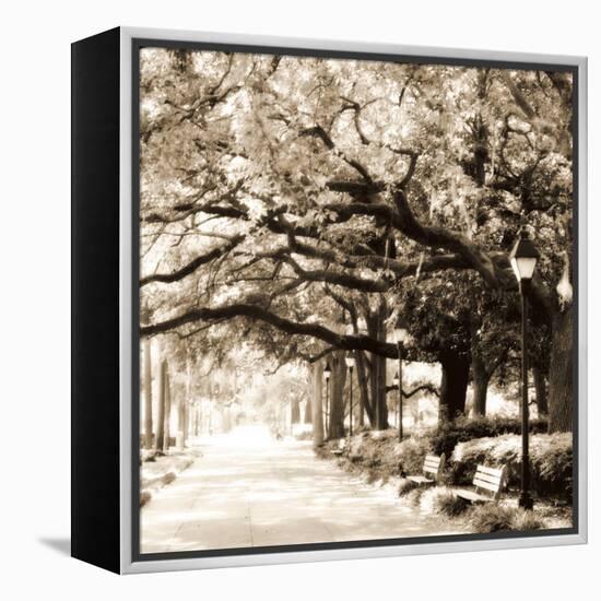 Savannah Sepia Sq I-Alan Hausenflock-Framed Premier Image Canvas