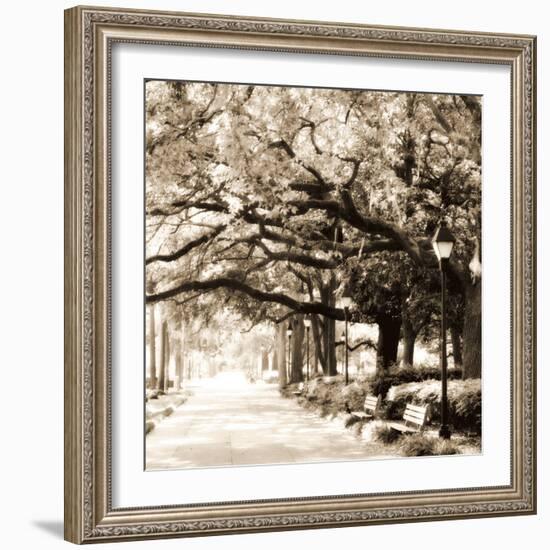 Savannah Sepia Sq I-Alan Hausenflock-Framed Photographic Print