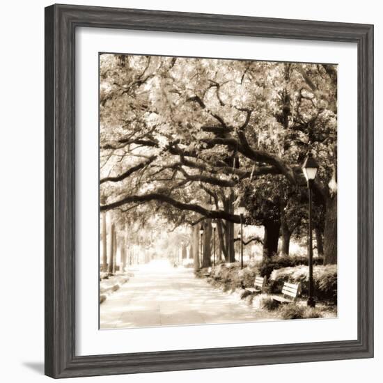 Savannah Sepia Sq I-Alan Hausenflock-Framed Photographic Print