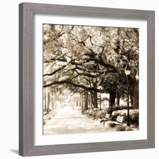 Savannah Sepia Sq I-Alan Hausenflock-Framed Photographic Print