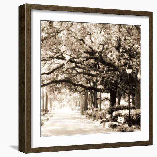 Savannah Sepia Sq I-Alan Hausenflock-Framed Photographic Print