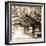 Savannah Sepia Sq I-Alan Hausenflock-Framed Photographic Print