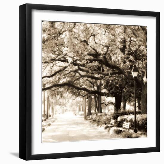 Savannah Sepia Sq I-Alan Hausenflock-Framed Photographic Print