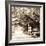 Savannah Sepia Sq I-Alan Hausenflock-Framed Photographic Print