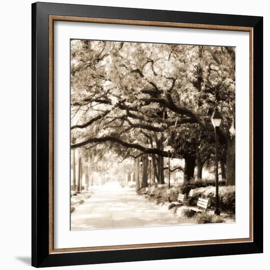 Savannah Sepia Sq I-Alan Hausenflock-Framed Photographic Print