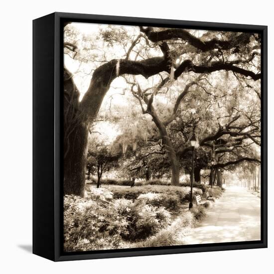 Savannah Sepia Sq II-Alan Hausenflock-Framed Premier Image Canvas