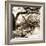 Savannah Sepia Sq II-Alan Hausenflock-Framed Photographic Print