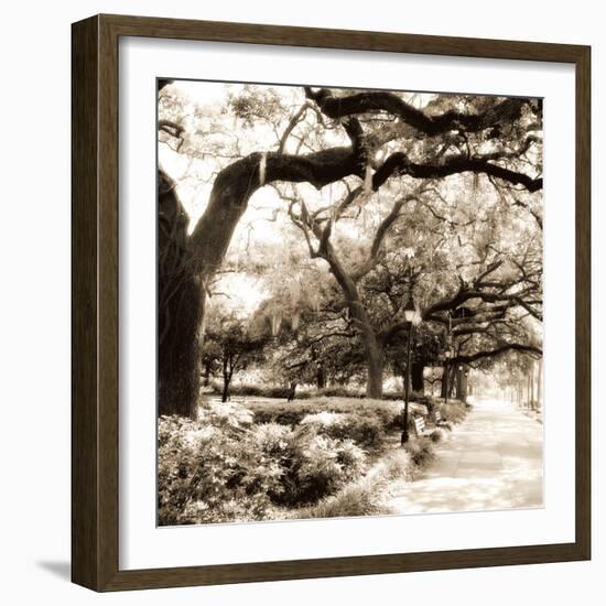 Savannah Sepia Sq II-Alan Hausenflock-Framed Photographic Print