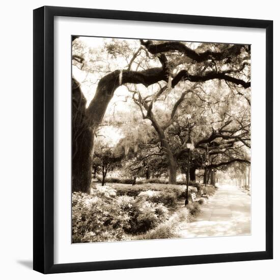 Savannah Sepia Sq II-Alan Hausenflock-Framed Photographic Print