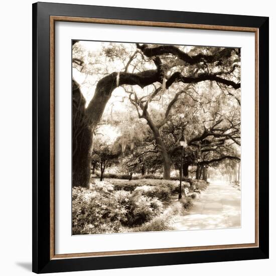 Savannah Sepia Sq II-Alan Hausenflock-Framed Photographic Print