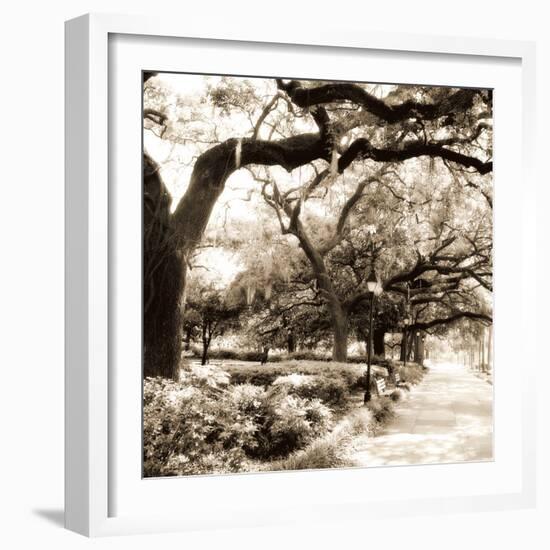 Savannah Sepia Sq II-Alan Hausenflock-Framed Photographic Print