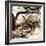 Savannah Sepia Sq II-Alan Hausenflock-Framed Photographic Print