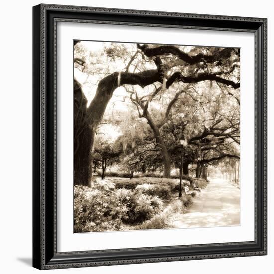 Savannah Sepia Sq II-Alan Hausenflock-Framed Photographic Print