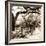 Savannah Sepia Sq II-Alan Hausenflock-Framed Photographic Print