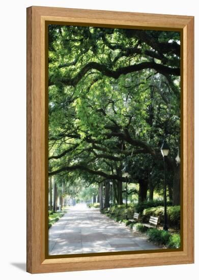 Savannah Sidewalk I-Alan Hausenflock-Framed Premier Image Canvas