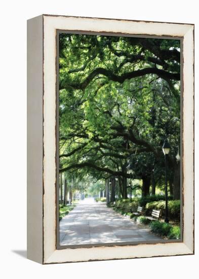 Savannah Sidewalk I-Alan Hausenflock-Framed Premier Image Canvas