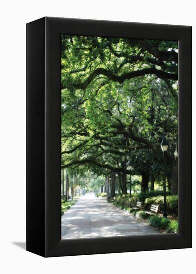 Savannah Sidewalk I-Alan Hausenflock-Framed Premier Image Canvas