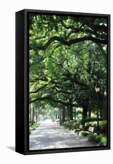 Savannah Sidewalk I-Alan Hausenflock-Framed Premier Image Canvas