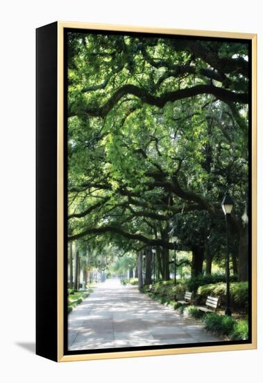 Savannah Sidewalk I-Alan Hausenflock-Framed Premier Image Canvas