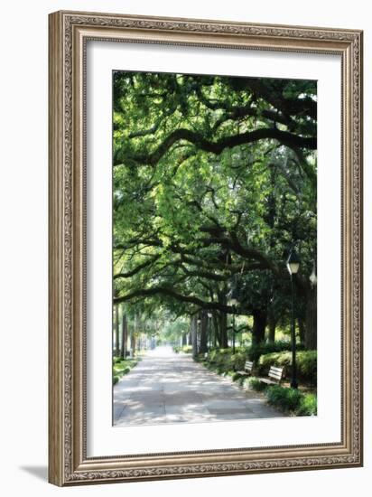 Savannah Sidewalk I-Alan Hausenflock-Framed Photographic Print