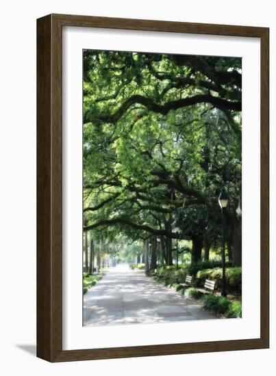 Savannah Sidewalk I-Alan Hausenflock-Framed Photographic Print