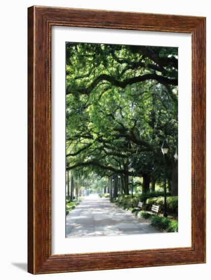 Savannah Sidewalk I-Alan Hausenflock-Framed Photographic Print