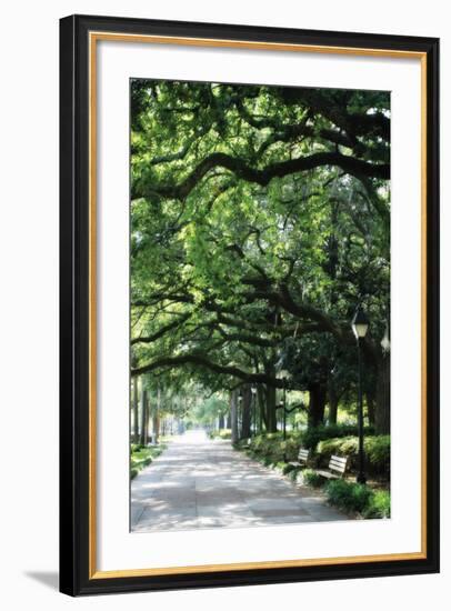 Savannah Sidewalk I-Alan Hausenflock-Framed Photographic Print