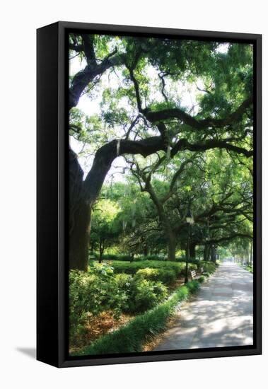 Savannah Sidewalk II-Alan Hausenflock-Framed Premier Image Canvas