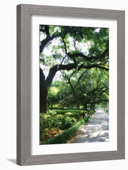 Savannah Sidewalk II-Alan Hausenflock-Framed Photographic Print