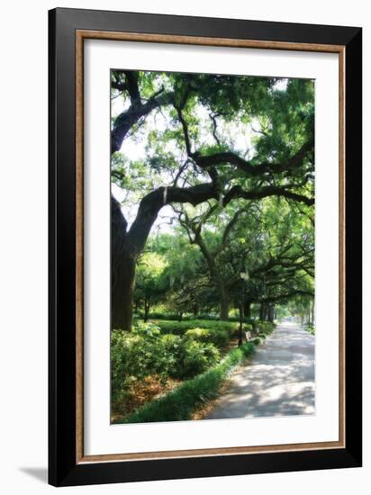 Savannah Sidewalk II-Alan Hausenflock-Framed Photographic Print