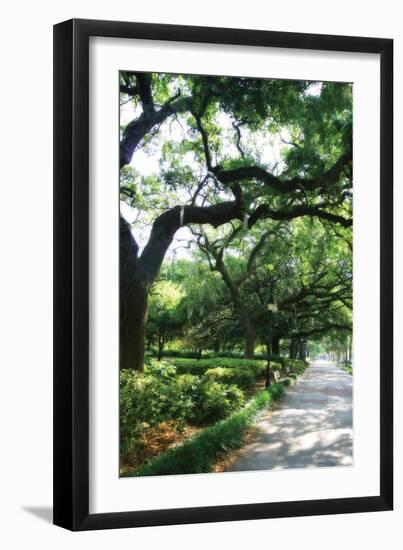 Savannah Sidewalk II-Alan Hausenflock-Framed Photographic Print