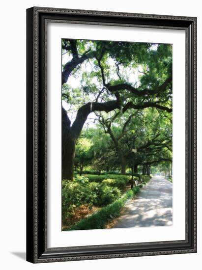 Savannah Sidewalk II-Alan Hausenflock-Framed Photographic Print
