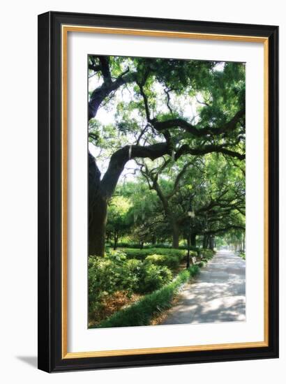 Savannah Sidewalk II-Alan Hausenflock-Framed Photographic Print