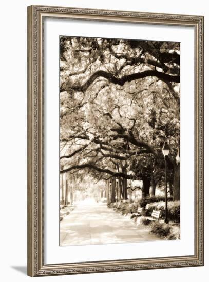 Savannah Sidewalk Sepia I-Alan Hausenflock-Framed Photographic Print