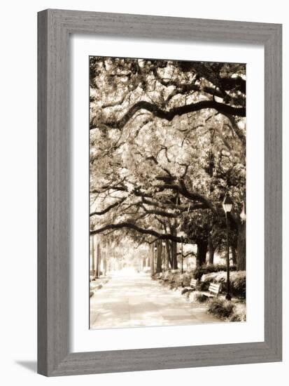 Savannah Sidewalk Sepia I-Alan Hausenflock-Framed Photographic Print