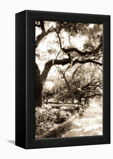 Savannah Sidewalk Sepia II-Alan Hausenflock-Framed Premier Image Canvas