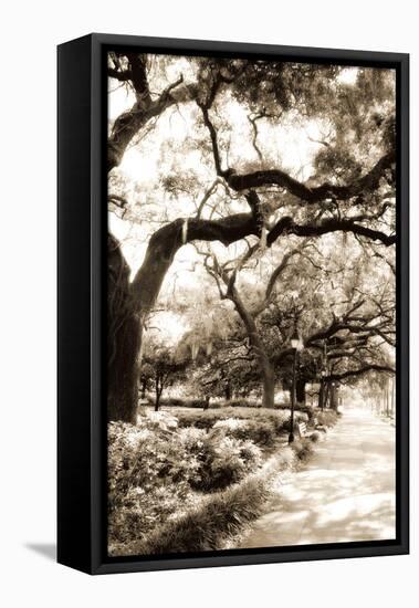 Savannah Sidewalk Sepia II-Alan Hausenflock-Framed Premier Image Canvas