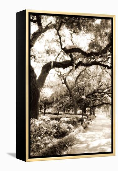 Savannah Sidewalk Sepia II-Alan Hausenflock-Framed Premier Image Canvas