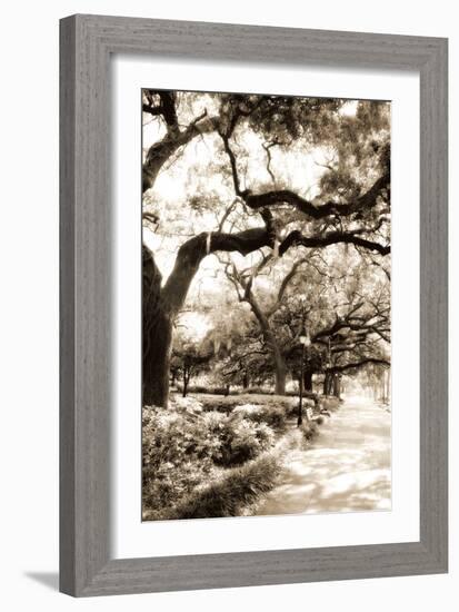 Savannah Sidewalk Sepia II-Alan Hausenflock-Framed Photographic Print