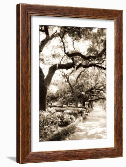 Savannah Sidewalk Sepia II-Alan Hausenflock-Framed Photographic Print