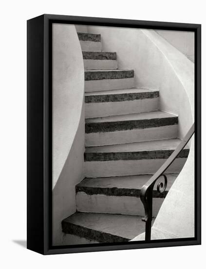 Savannah Stairwell-Jim Christensen-Framed Premier Image Canvas