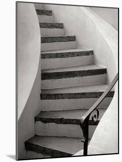 Savannah Stairwell-Jim Christensen-Mounted Photographic Print