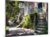 Savannah Street with Traditional House Entrances, Georgia-George Oze-Mounted Photographic Print