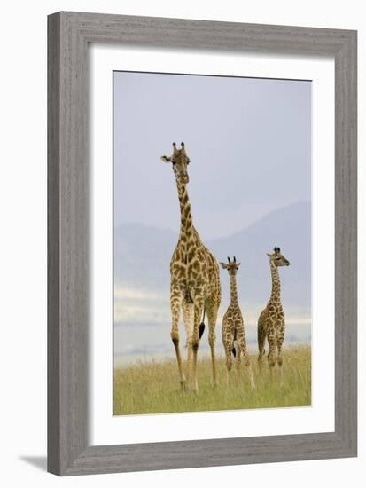 Savannah Strut-Susann Parker-Framed Photographic Print