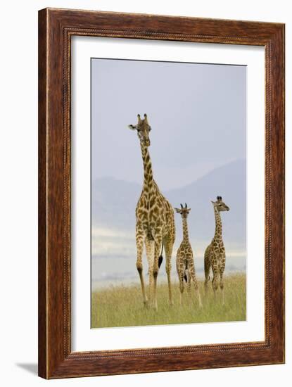 Savannah Strut-Susann Parker-Framed Photographic Print