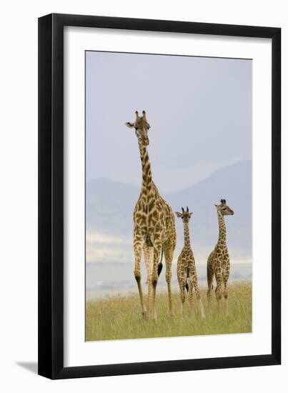 Savannah Strut-Susann Parker-Framed Photographic Print